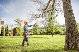 Best Lawn Mowing  in Freeport, IL