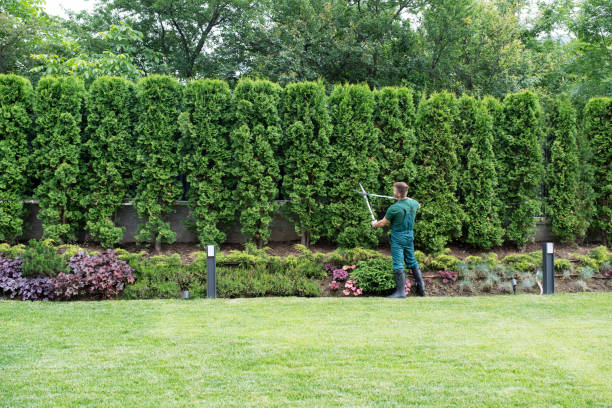 Mulching Services in Freeport, IL